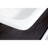 Petra Galley 33-Inch Cast Iron Self-Rimming Double Bowl Drop-In Kitchen Sink (2-Hole)