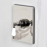 Demure Single-Handle Pressure Balanced Tub and Shower Faucet