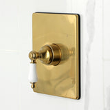 Demure Single-Handle Pressure Balanced Tub and Shower Faucet