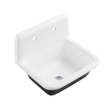 Petra Galley Cast Iron Single Bowl Wall Mount Utility Sink with Drain