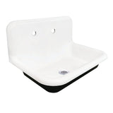 Towne Cast Iron Single Bowl Wall Mount Utility Sink with Drain