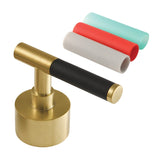 Kaiser Brass Lever Handle