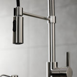Continental Single-Handle 1-Hole Deck Mount Pre-Rinse Kitchen Faucet