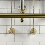 Trimscape Traditional Plumbing Sink Trim Kit with P-Trap and Drain