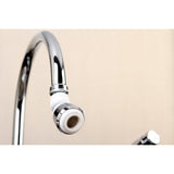 Complement Double Swivel Kitchen Aerator with Brass Ball Joint