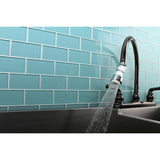 Complement Double Swivel Kitchen Aerator with Brass Ball Joint