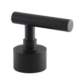 Manhattan Brass Lever Handle