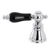 Black Porcelain Lever Handle (Hot Side)