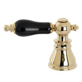 Black Porcelain Lever Handle (Hot Side)
