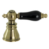 Black Porcelain Lever Handle (Cold Side)