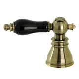 Black Porcelain Lever Handle (Hot Side)