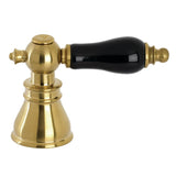 Black Porcelain Lever Handle (Cold Side)