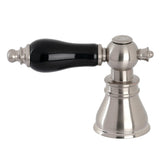Black Porcelain Lever Handle (Hot Side)