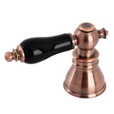 Black Porcelain Lever Handle (Hot Side)