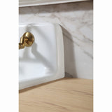 Petra Galley 22-Inch Cast Iron Single Bowl Wall Mount Kitchen Sink (2-Hole)