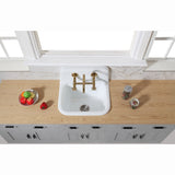 Petra Galley 22-Inch Cast Iron Single Bowl Wall Mount Kitchen Sink (2-Hole)