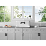 Petra Galley 30-Inch Cast Iron Single Bowl Wall Mount Kitchen Sink