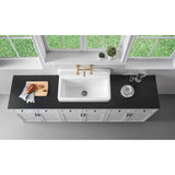 Petra Galley 33-Inch Cast Iron Single Bowl Wall Mount Kitchen Sink