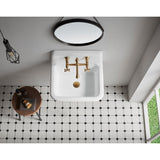 Petra Galley 22-Inch x 18-Inch Cast Iron Wall Mount Utility Sink