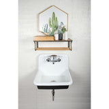 Petra Galley 24-Inch Cast Iron Wall Mount 2-Hole Single Bowl Utility Sink