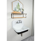Petra Galley 24-Inch Cast Iron Wall Mount 2-Hole Single Bowl Utility Sink