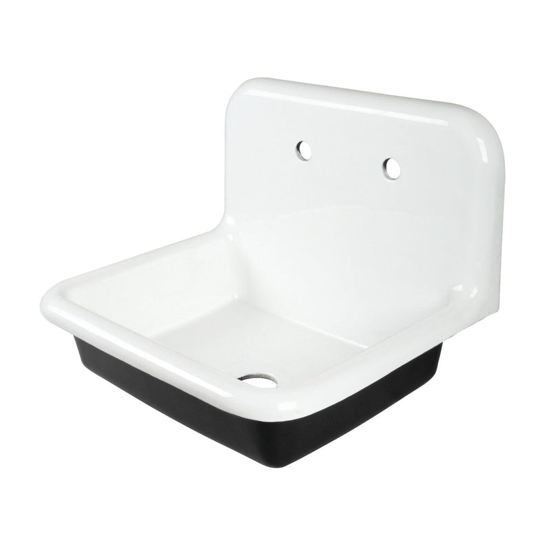 Petra Galley 24-Inch Cast Iron Single Bowl Wall Mount Utility Sink (2-Hole)