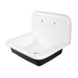 Petra Galley 24-Inch Cast Iron Wall Mount 2-Hole Single Bowl Utility Sink