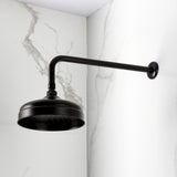 Trimscape 8-Inch Round Raindrop Brass Shower Head with 17-Inch Shower Arm