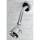 Made To Match 2-1/4 Inch Round Jet Spray Brass Shower Head