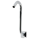 Gehry S-Shape Shower Arm with Square Flange