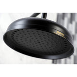 Trimscape 10-Inch Round Raindrop Brass Shower Head with 17-Inch Shower Arm