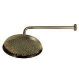 Trimscape 10-Inch Round Raindrop Brass Shower Head with 17-Inch Shower Arm