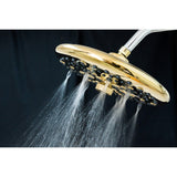 Trimscape 9.8-Inch Round Raindrop 8-Functio Shower Head