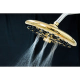 Trimscape 9.8-Inch Round Raindrop 8-Functio Shower Head