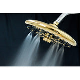 Trimscape 9.8-Inch Round Raindrop 8-Functio Shower Head