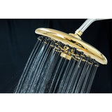 Trimscape 9.8-Inch Round Raindrop 8-Functio Shower Head