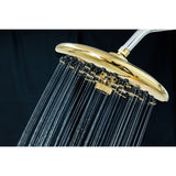 Trimscape 9.8-Inch Round Raindrop 8-Functio Shower Head
