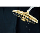 Trimscape 9.8-Inch Round Raindrop 8-Functio Shower Head