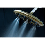 Trimscape 9.8-Inch Round Raindrop 8-Functio Shower Head