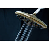 Trimscape 9.8-Inch Round Raindrop 8-Functio Shower Head