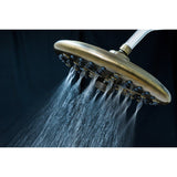 Trimscape 9.8-Inch Round Raindrop 8-Functio Shower Head