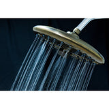 Trimscape 9.8-Inch Round Raindrop 8-Functio Shower Head