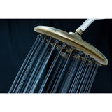 Trimscape 9.8-Inch Round Raindrop 8-Functio Shower Head