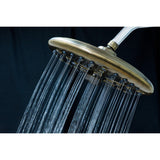 Trimscape 9.8-Inch Round Raindrop 8-Functio Shower Head
