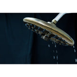 Trimscape 9.8-Inch Round Raindrop 8-Functio Shower Head
