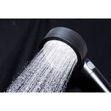 Shower Scape 2-Function Filtered Hand Shower