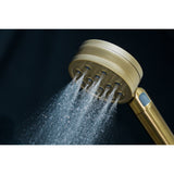 Shower Scape 2-Function Filtered Hand Shower