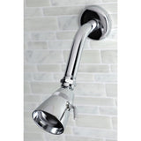 Single-Handle Pressure Balanced Tub and Shower Faucet, Trim Only