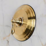 American Classic Single-Handle Pressure Balanced Shower Valve and Trim Set - Valve Included