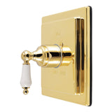 Demure Single-Handle Pressure Balanced Shower Valve Trim Kit - Valve Included